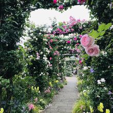 バラのトンネル