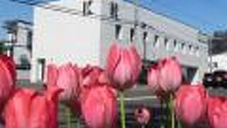 きのとや 琴似店