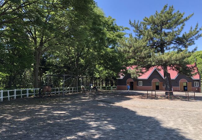 神奈川県の動物園 クチコミ人気ランキングtop17 フォートラベル 神奈川県の動物園 クチコミ人気ランキングtop17 フォートラベル