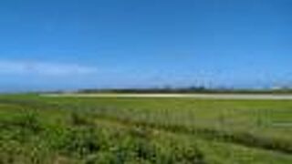 定期便の使用はないけど。