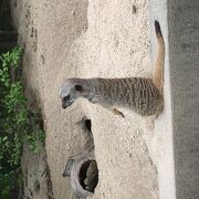 東武動物公園