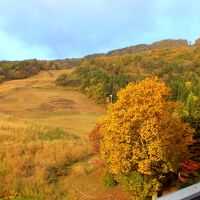 岩手山の紅葉が眼前に広がってきます!!