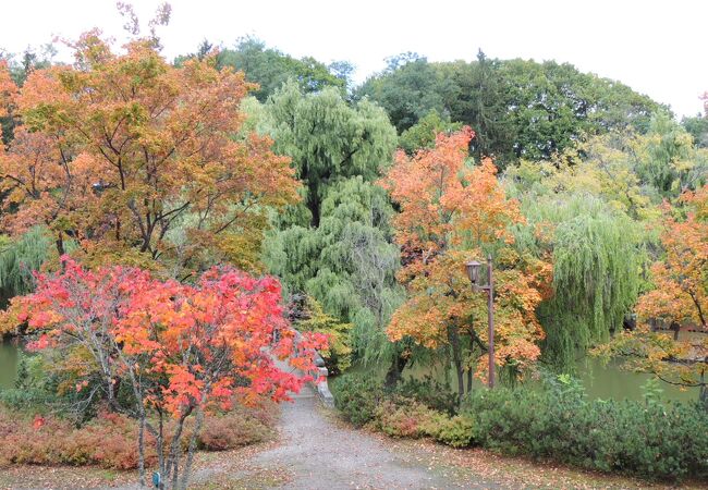 北見市内の紅葉のスポット