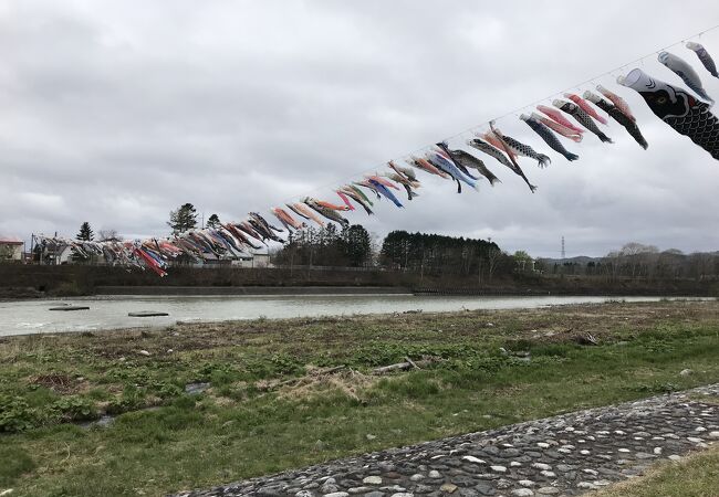 大空を泳ぐ鯉のぼり