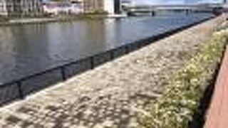 荒川区の堤防や公園もオススメ