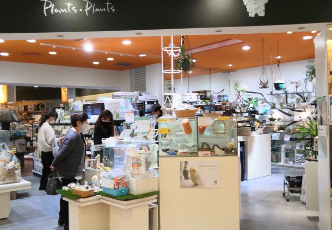 プランツプランツ なんばパークス店 クチコミ アクセス 営業時間 ミナミ 難波 天王寺 フォートラベル