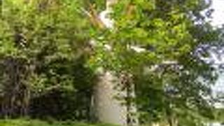 ランチタイムには