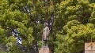 青々とした若葉の中に