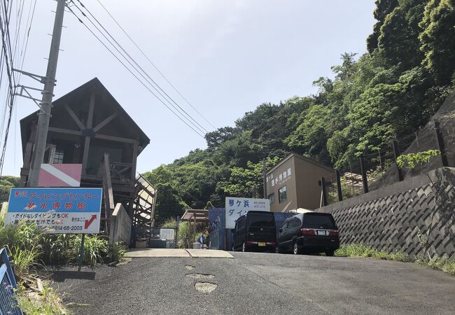 日本のダイビング発祥の地とも言われている