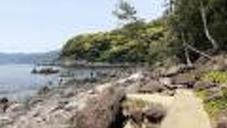 海岸に歩きやすい遊歩道が整備されている