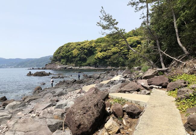 海岸に歩きやすい遊歩道が整備されている