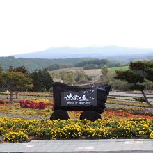 夏のぜるぶの丘の絶景