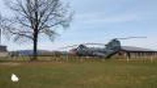 タワーを中心にゆったりとした広場のある施設