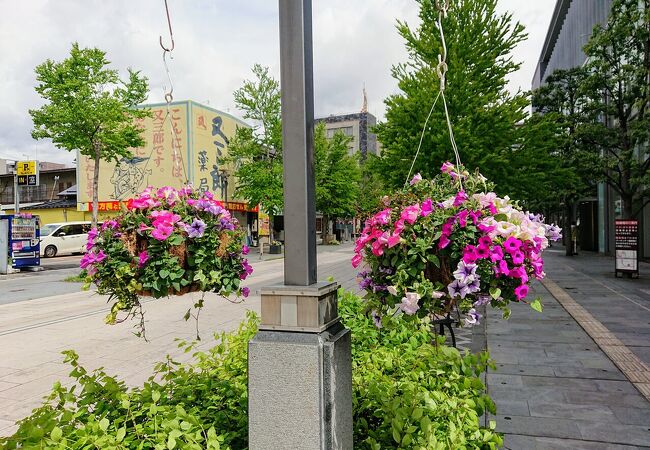 善光寺花回廊 ながの花フェスタ クチコミ アクセス 営業時間 長野市 フォートラベル