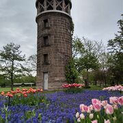 四季折々の花々が楽しめる公園