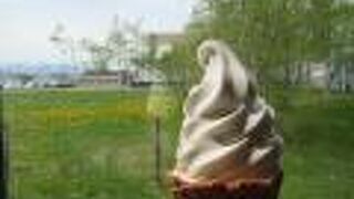 濃厚なミルク（チーズ）風味のカマンベールチーズソフトクリーム！