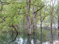 白川湖岸公園