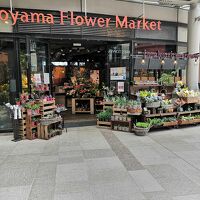 アオヤマ フラワー マーケット (なんばパークス店)