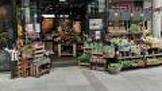 プランツプランツ なんばパークス店 クチコミ アクセス 営業時間 ミナミ 難波 天王寺 フォートラベル プランツプランツ なんばパークス店 クチコミ アクセス 営業時間 ミナミ 難波 天王寺 フォートラベル