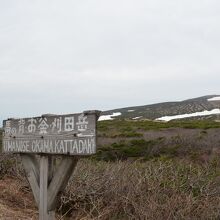 雪が残る山形蔵王