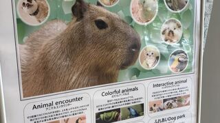 アニマルワールドが出来ました