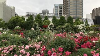 ローズガーデンは一方通行です