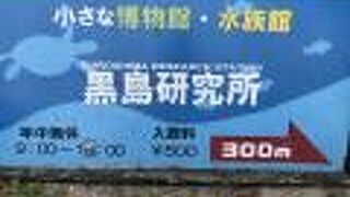 手作りラグーン