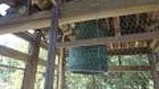 国宝級の梵鐘や貴重な仏像など見所が沢山あります