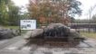 おいしい水が飲めます