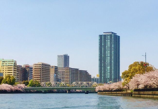 　桜の眺めが良い橋