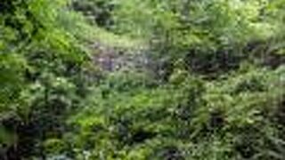 気軽には行けない古代山城跡