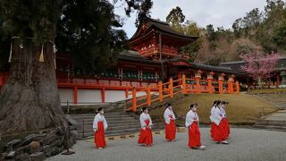 パワーを感じてきました