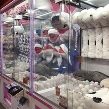 人形は興味なし