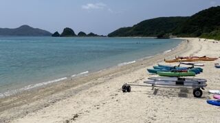 ダイビングの合間に行きました！