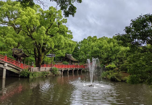 福岡県の自然 景勝地 クチコミ人気ランキングtop40 フォートラベル 福岡県の自然 景勝地 クチコミ人気ランキングtop40 フォートラベル