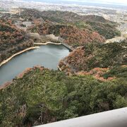 奥山雨山自然公園内のダム湖