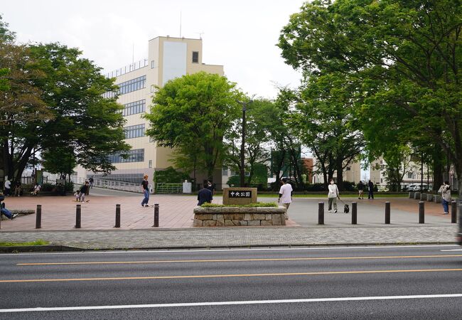 沼津中央公園 クチコミ アクセス 営業時間 沼津 フォートラベル