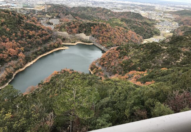 奥山雨山自然公園内のダム湖