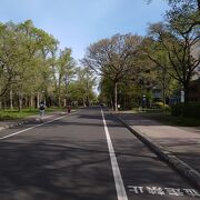 緑ヶ丘公園 グリーンパーク 400mベンチ クチコミ アクセス 営業時間 帯広 フォートラベル 緑ヶ丘公園 グリーンパーク 400mベンチ クチコミ アクセス 営業時間 帯広 フォートラベル