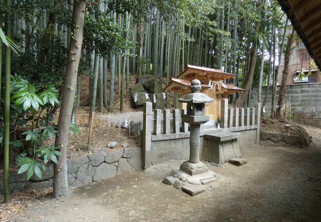 天岩戸神社