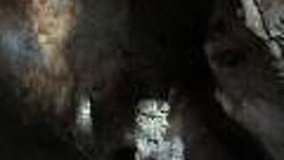 黒谷支洞にある見どころ