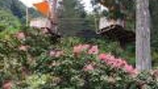 ２１世紀の森 紀伊半島森林植物公園