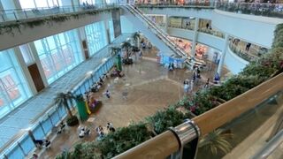 息子と座間味島2人旅で利用！