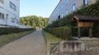 三条通りから拝所へ