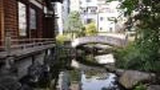 池や橋のある境内は見ごたえがありました