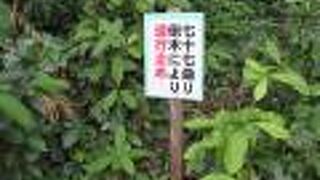 島の高台と海沿いの集落を結ぶ生活道路