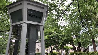 紫陽花の綺麗な公園です