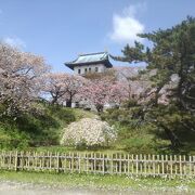 桜の時期に快晴なら５点満点