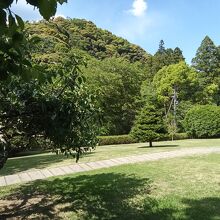 ねむの木こども美術館