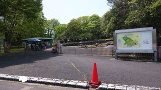 広大な敷地でゆったりと植物を鑑賞できる